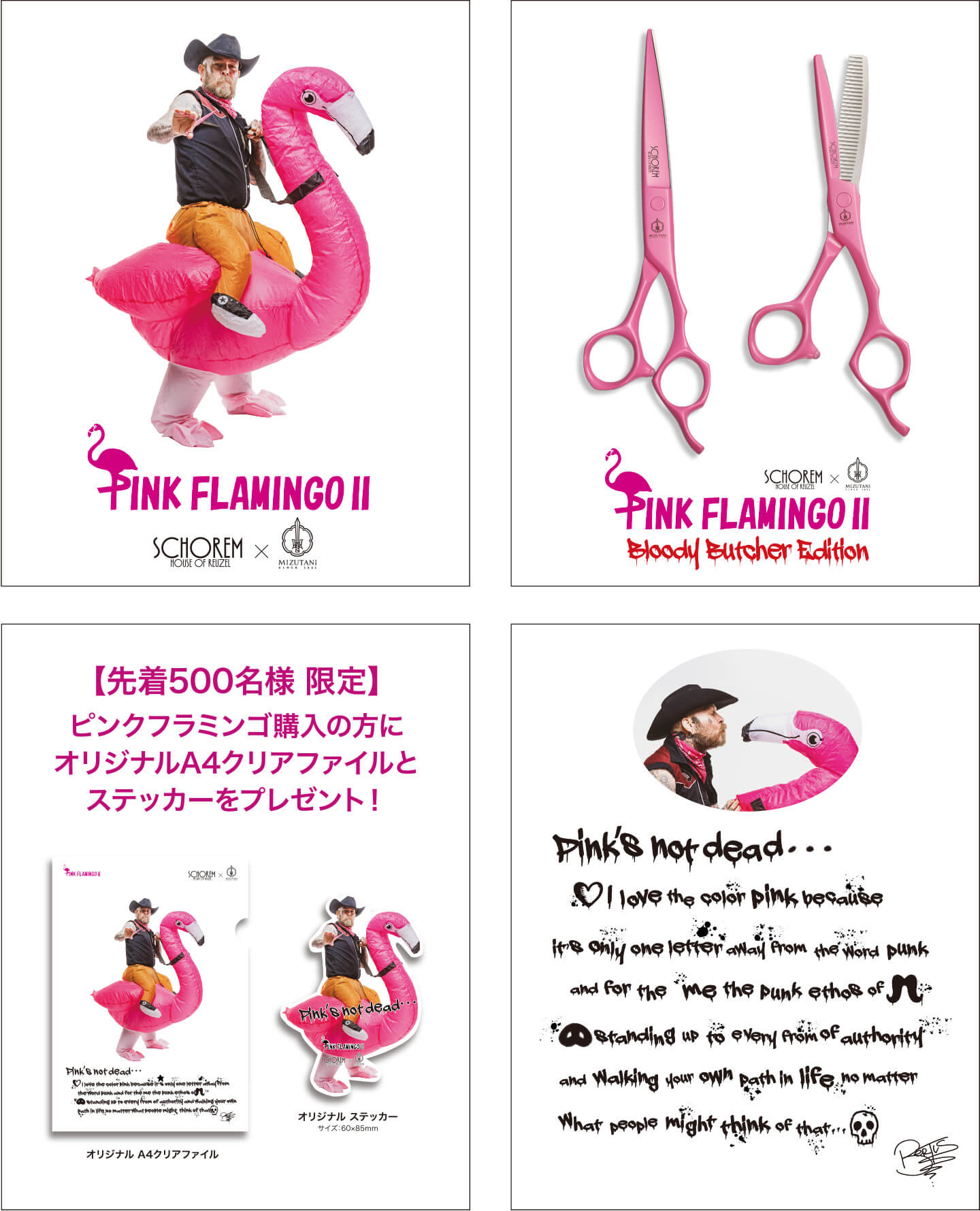 PINK FLAMINGO II | ミズタニシザーズ