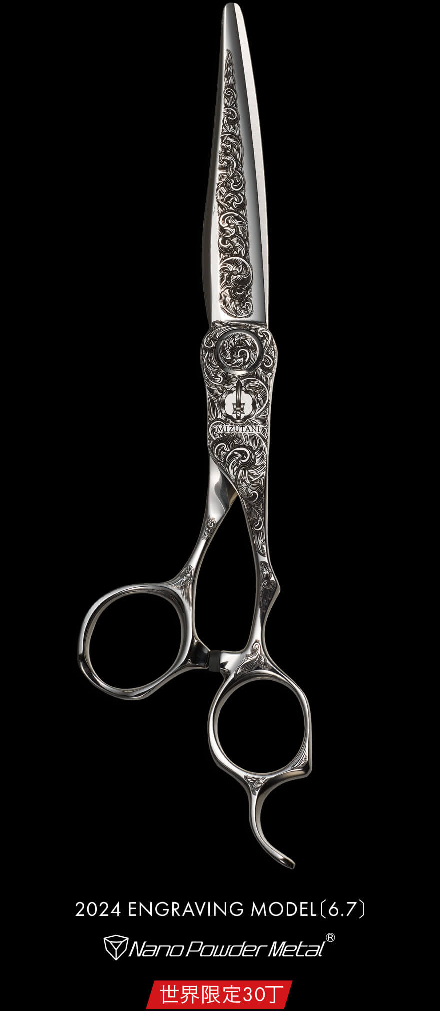 特集 2024 ENGRAVING MODEL | ミズタニシザーズ