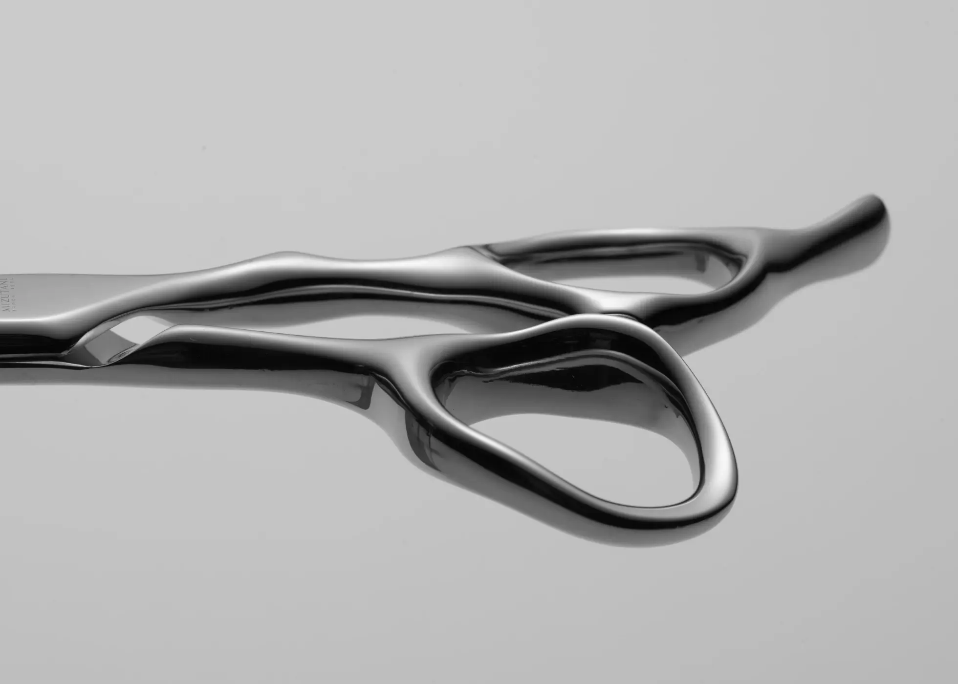 Fit | ミズタニシザーズ