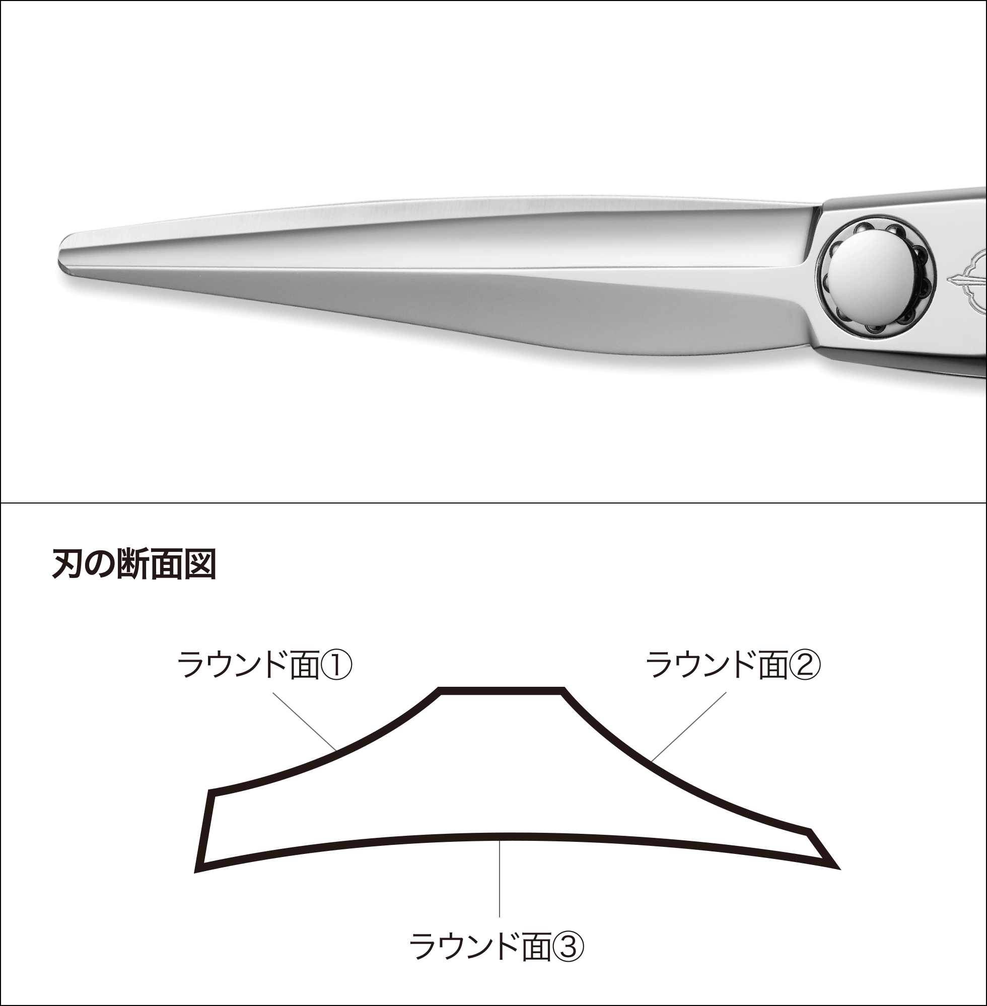 NEW SWORD DB-20 | ミズタニシザーズ