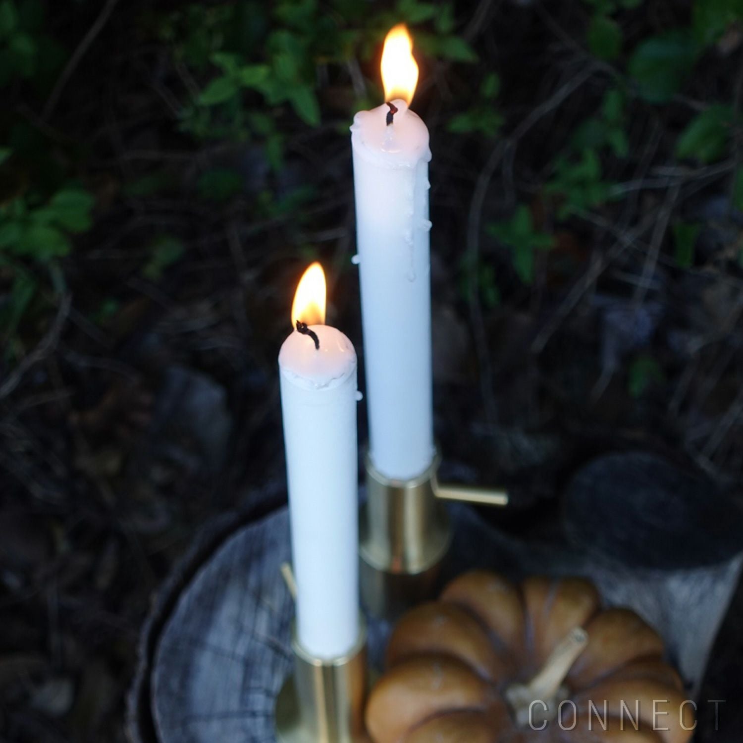 FRITZ HANSEN（フリッツ・ハンセン） / Jaime Hayon ハイメ・アジョン