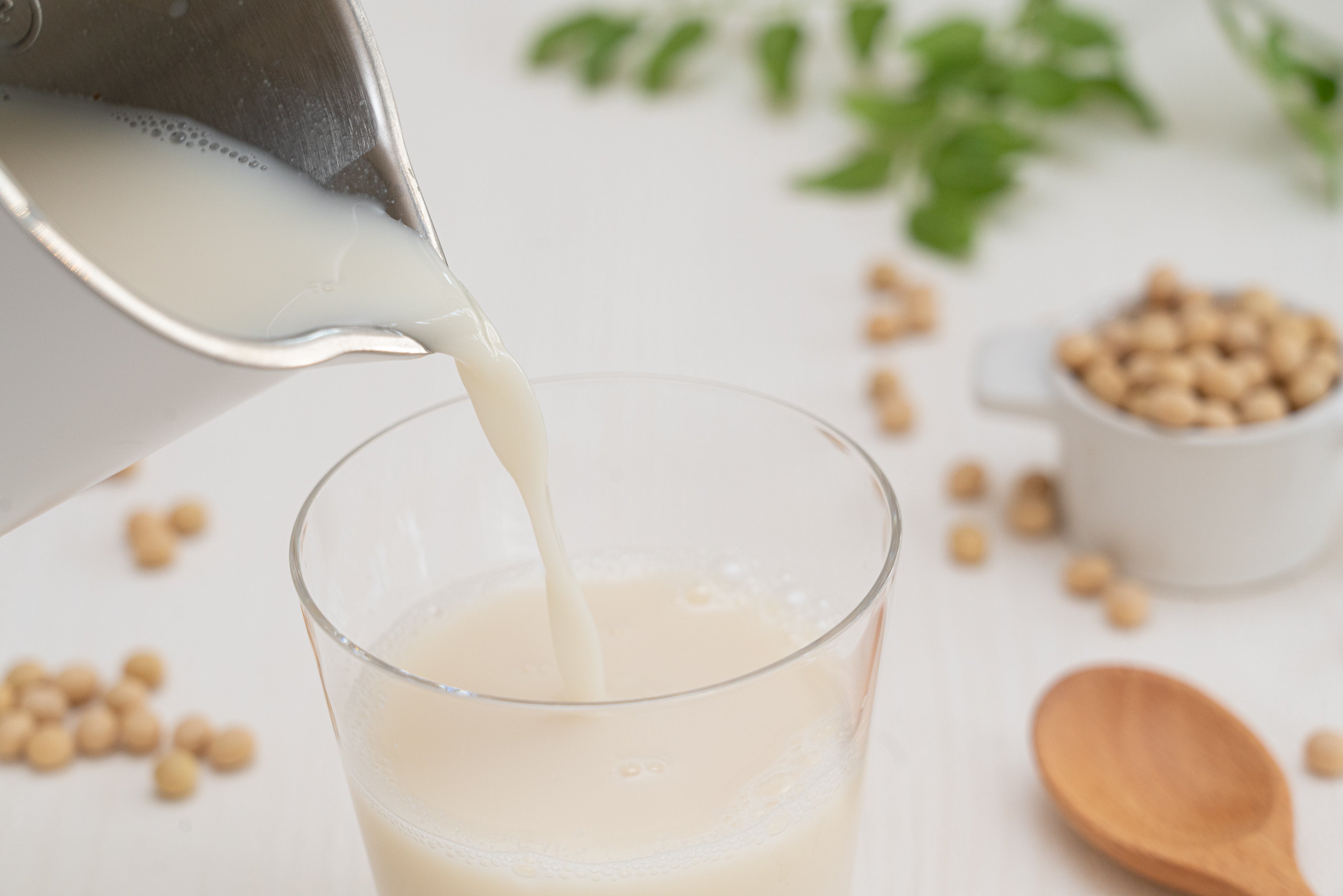 ピーレチェ」P-leche プラントミルクメーカー – コッチラボ株式会社