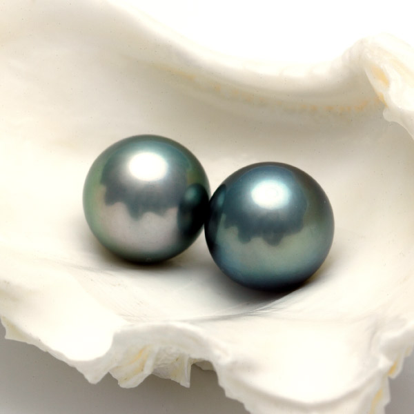 ココネージュ / エクストラQ-ゲル