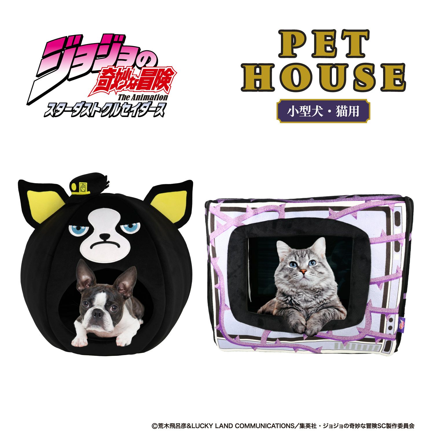 ジョジョの奇妙な冒険 イギー スターダストクルセイダース ドーム型