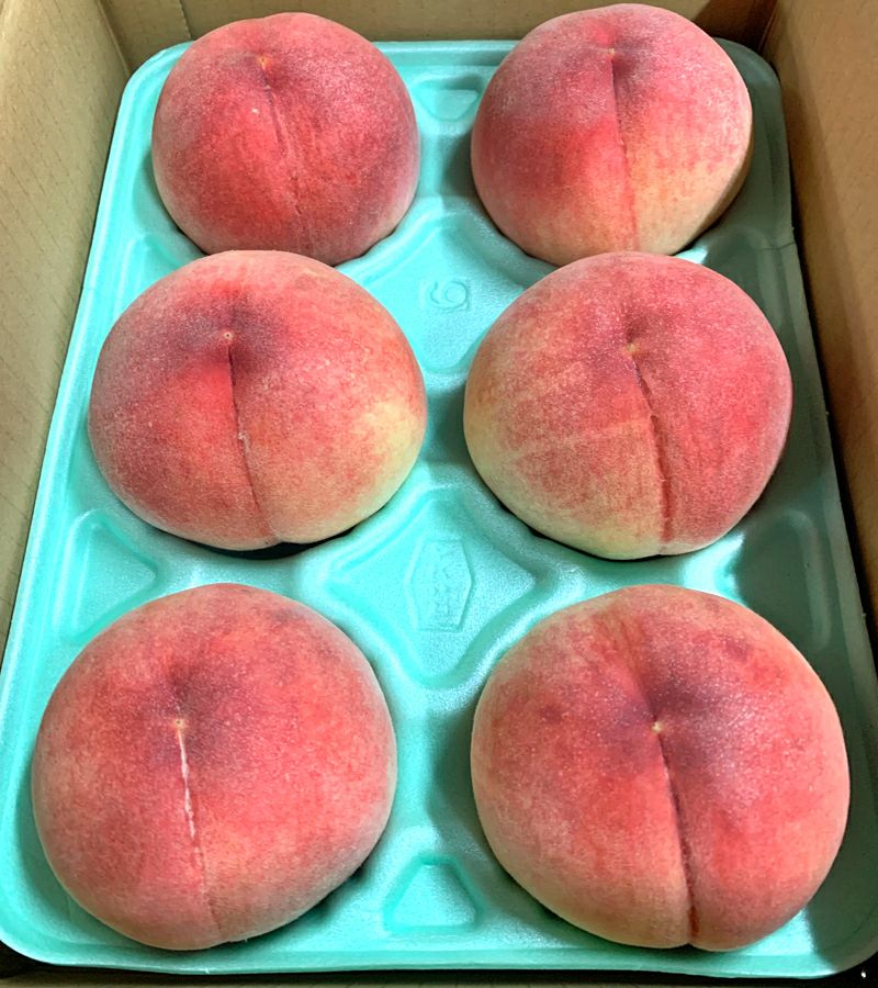 長野県産 桃 あかつき 特秀 約3キロ / 約5キロギフト 贈答 | COCORO