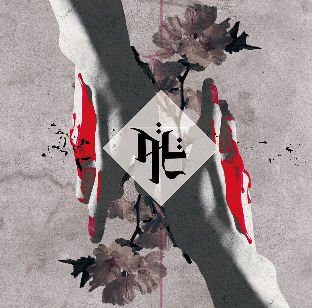 DISCOGRAPHY｜コドモドラゴン Official web site