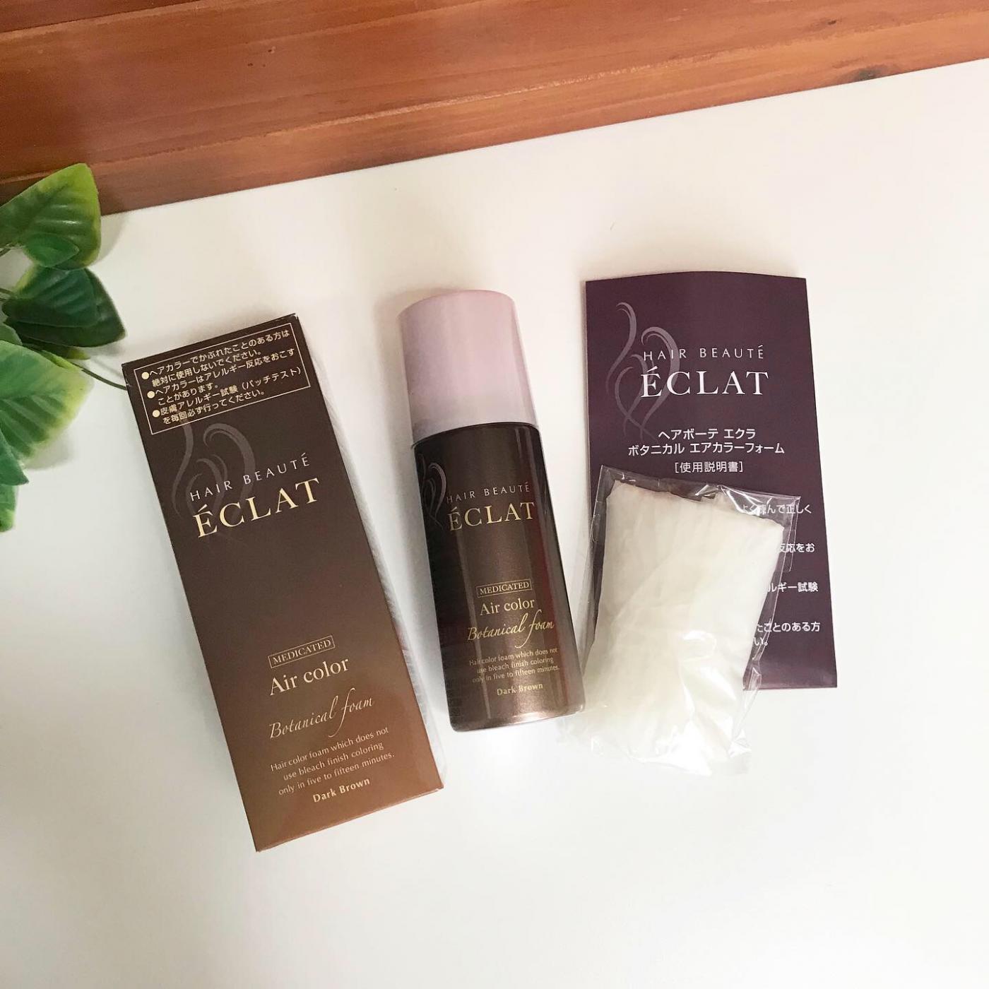 ボタニカルエアカラーフォーム!!｜フューチャーラボプロモーション