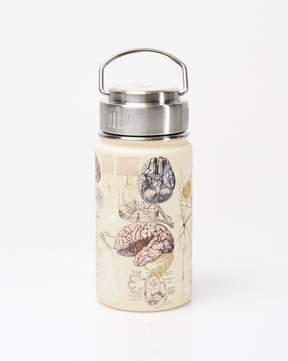 Human Anatomy Stainless Steel Vacuum Flask / Insulated Travel