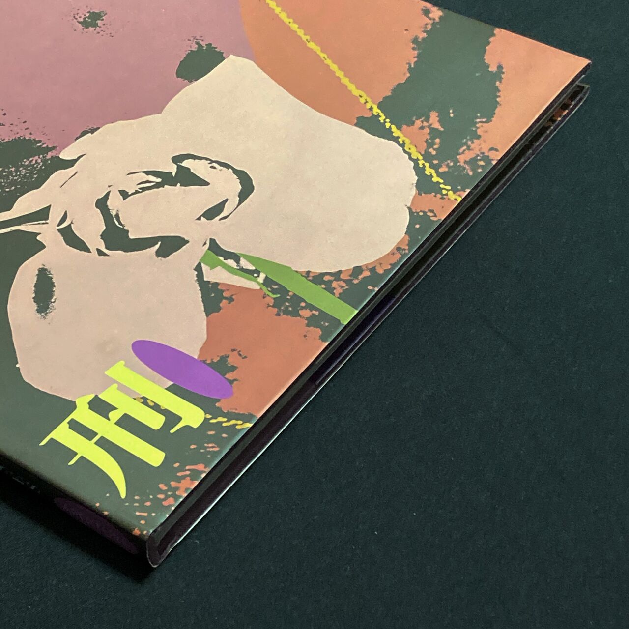 本 :: アート写真集 :: 細江英公 / 薔薇刑 英語版「Ba Ra Kei: Ordeal