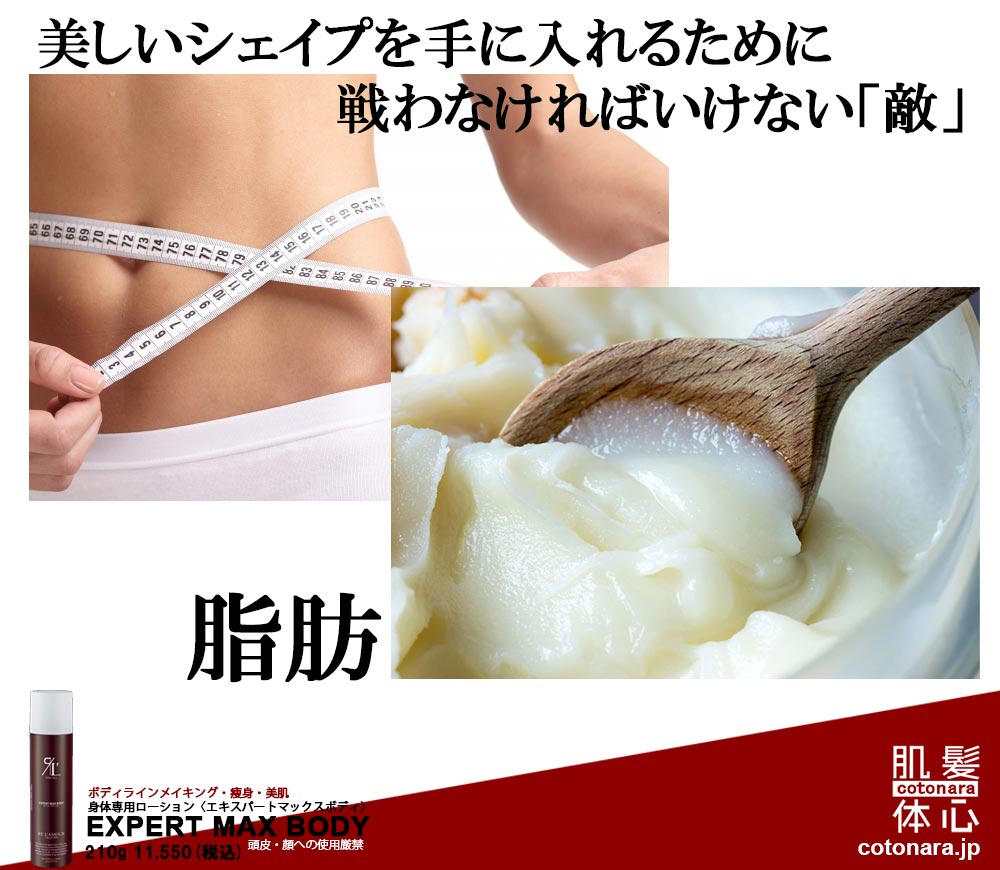 リアボーテ正規販売店】エキスパートマックスボディ ご購入方法と