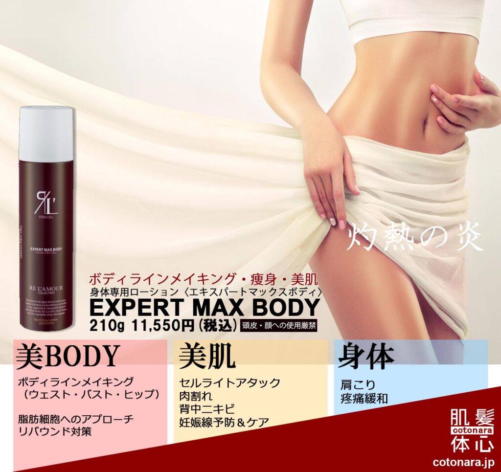 RE L'AMOUR EXPERT MAX BODYボディローション2本※バラ可 EXPERT