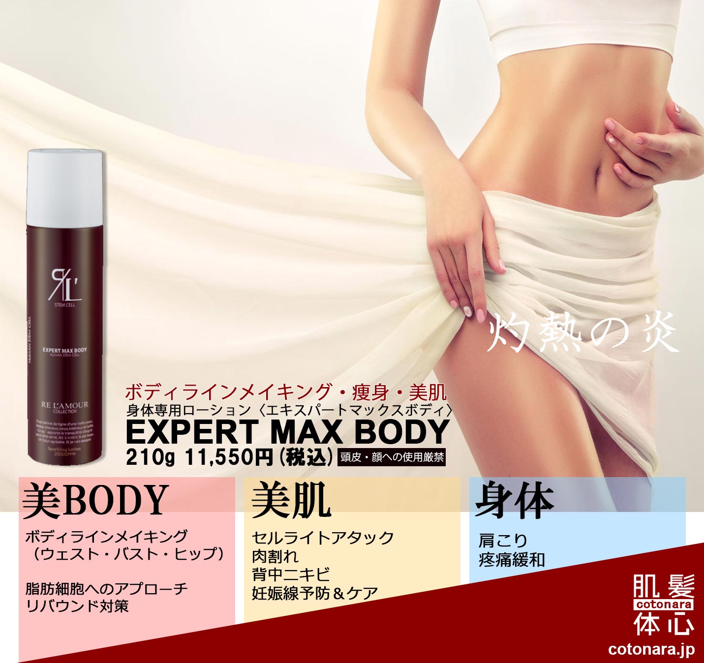 リアボーテ正規販売店】エキスパートマックスボディ ご購入方法と