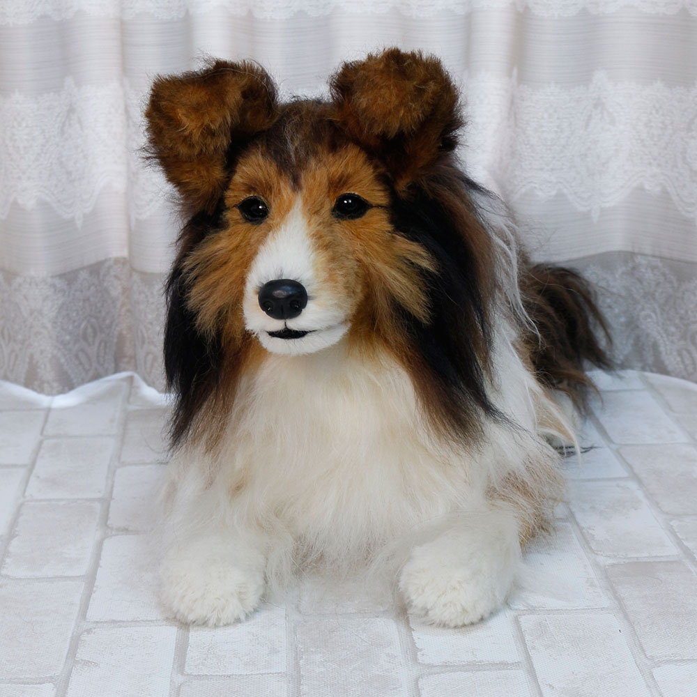 230410 キャルちゃん シェットランドシープドッグ - 【公式