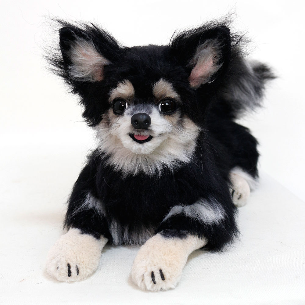 230515 とらちゃん チワワ - 【公式】ぬいぐるみのオーダーメイド