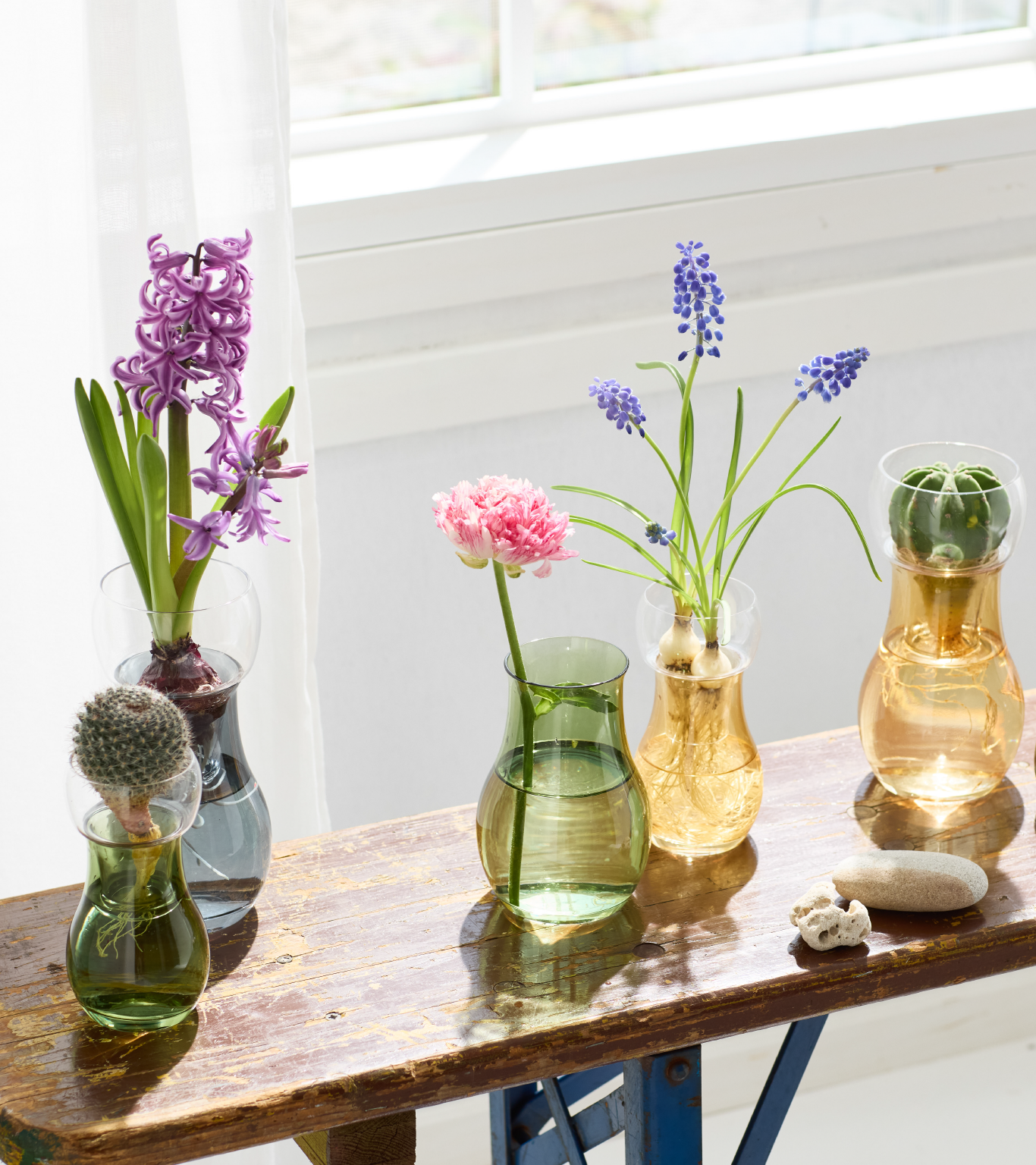 Bulbee｜CLAY - 花と人をツナグ