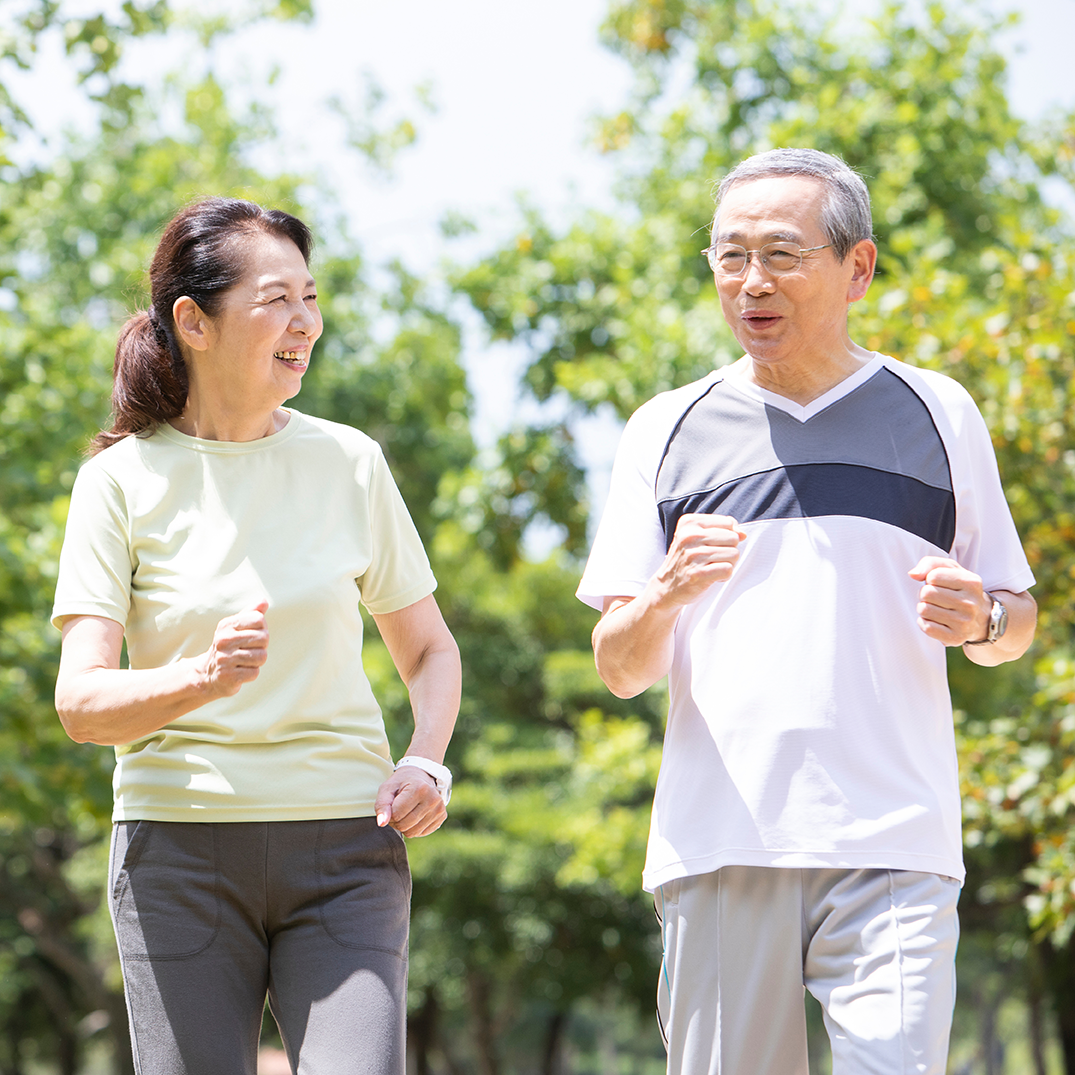 CLEMIRA Phoenix（フェニックス） – CLEMIRA shop official