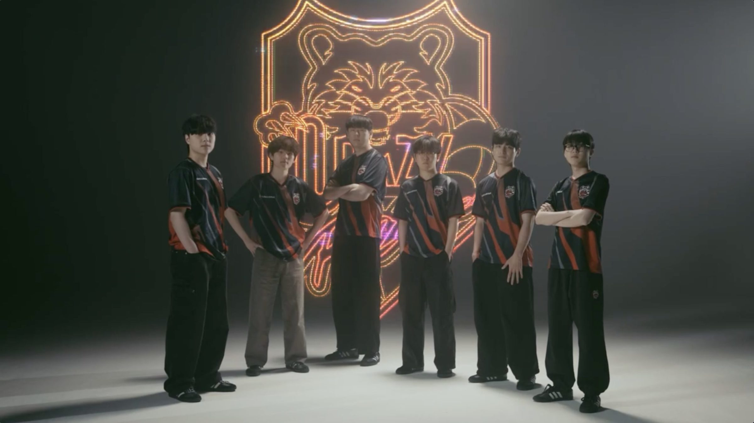 NEWS - Crazy Raccoon