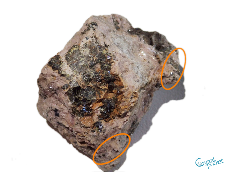 ニチカ 鉱物 化石 岩石ニッパ - クリスタルポケット