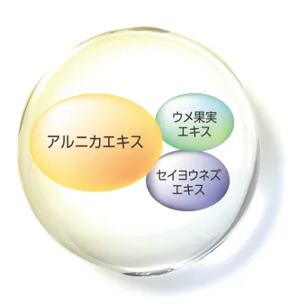 AXIヴィキアシリーズ