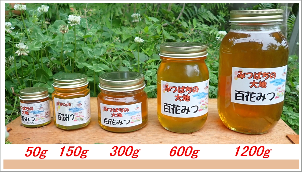 みつばちの大地/ホーム