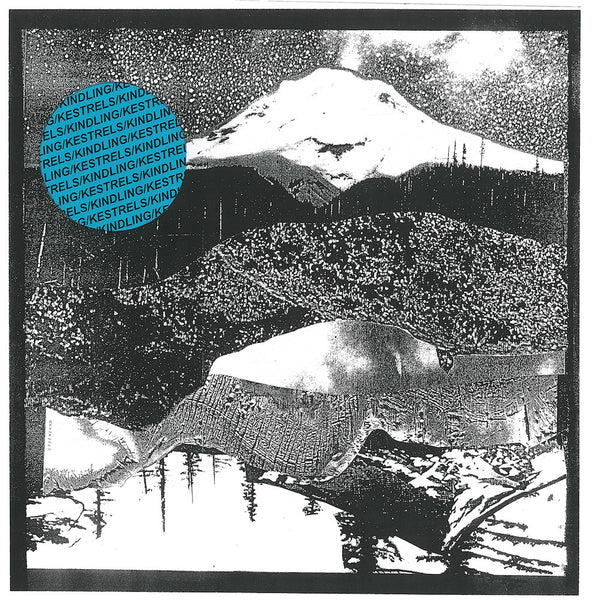 Ash - The A-Z Series - Darla Records