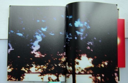 Abandom Reverie' ” | Mark Borthwick | First Edition