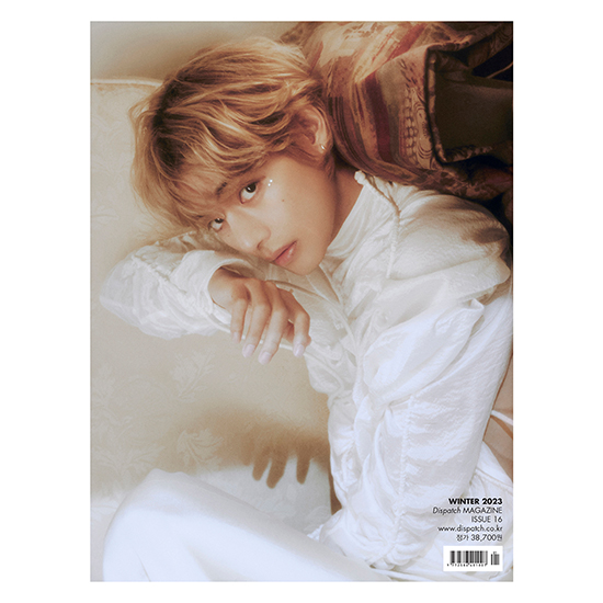 DICON ISSUE N°16 V : VICON 「a magazine about V」C-type] | kokode