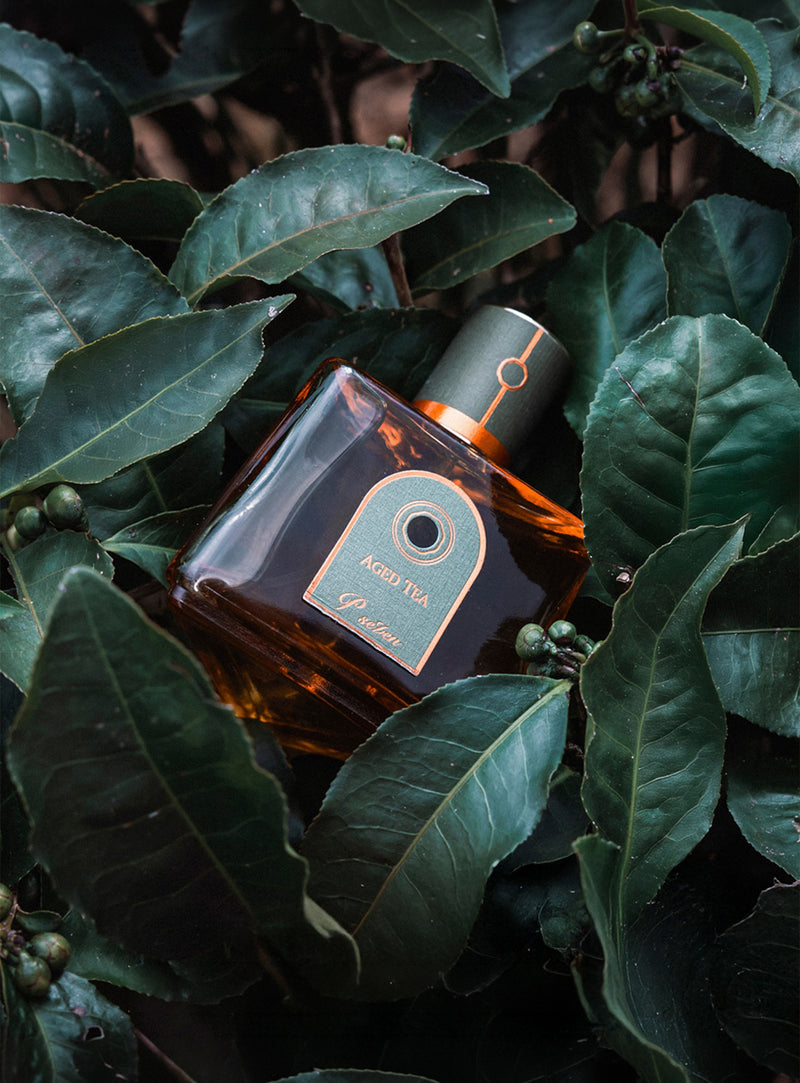 台湾茶香水】Aged Tea ~ 暗香 ~ オードパルファム – DAYLILY