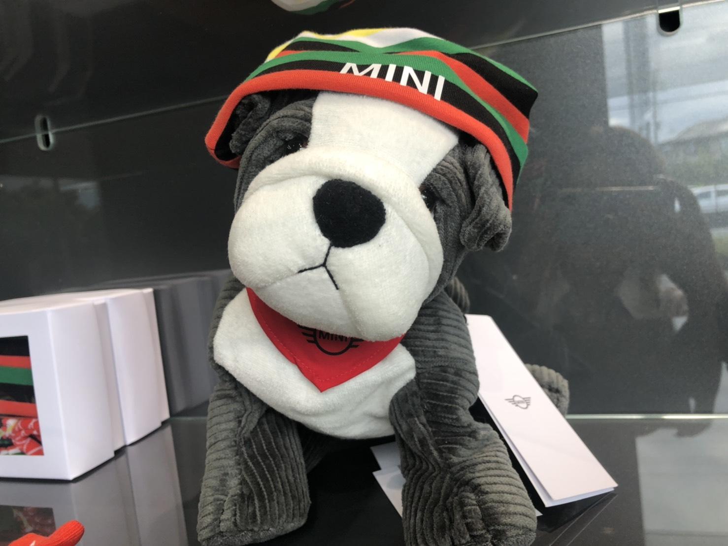 MINI SHIZUOKA】2代目スパイク君？！ - MINI沼津／静岡／浜松／NEXT