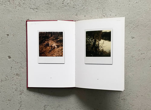 古書古本 dessin: Andrey Tarkovsky: Instant Light [Softcover