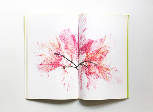 古書古本 dessin：Nick Night: Flora（ニック・ナイト）