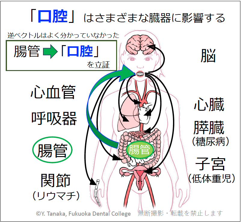 口腔生化学 口腔生化学 第6版／医歯薬出版株式会社