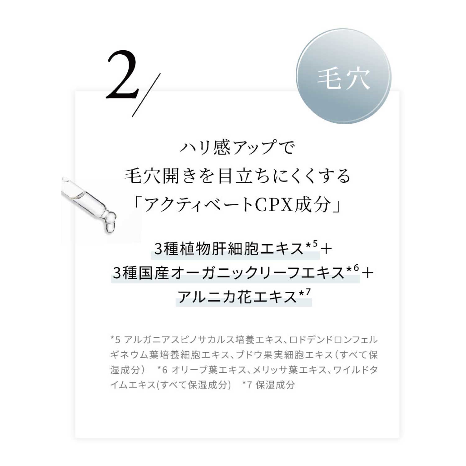 Celvoke】セルリュクス トリートメントローション ｜Celvoke Website