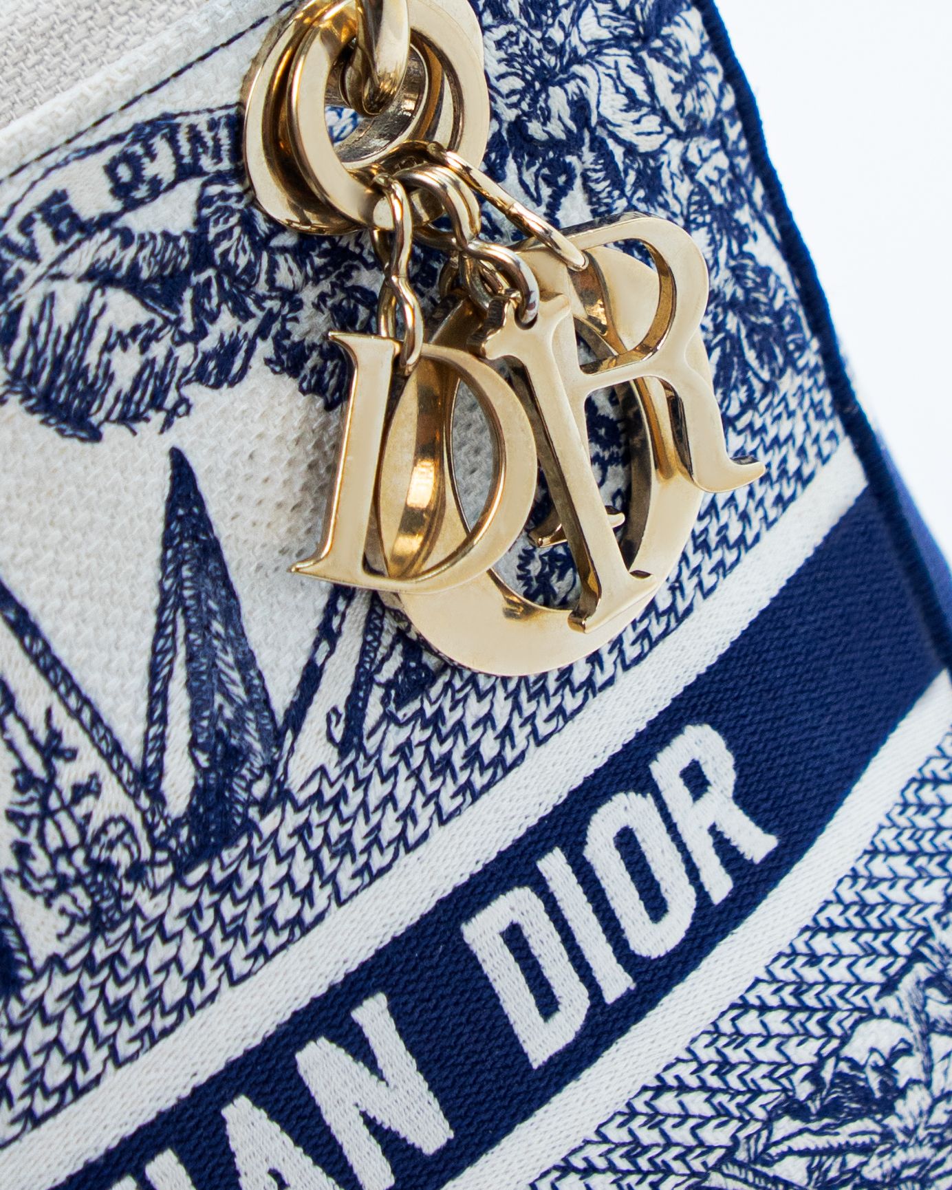 Christian Dior Reve D'Infini Medium Lady D-Lite Bag | Vivrelle