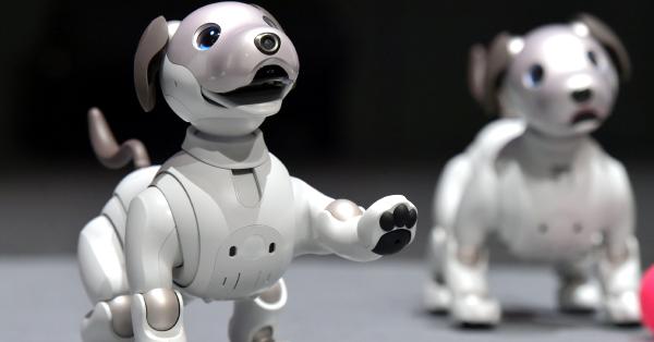 ソニー「aibo」、30分で完売 | ロボット ニュース | 日刊工業