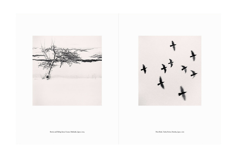 Japan | A Love Story - マイケル・ケンナ | shashasha 写々者 - 写真