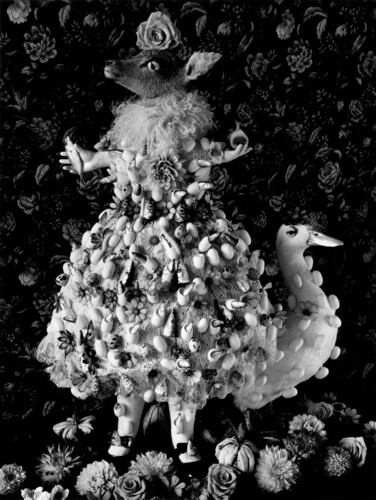 今道子 - Michiko KON | shashasha 写々者 - 写真集とアートブック