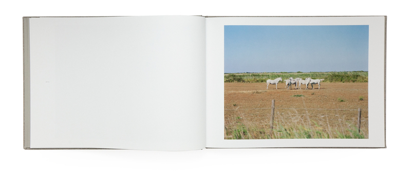 知覚の感光板 - 鈴木理策 | shashasha 写々者 - 写真集とアートブック