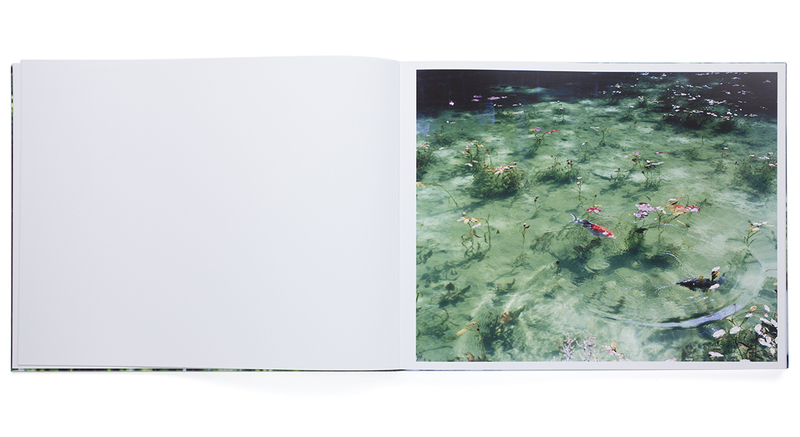 Water Mirror - 鈴木理策 | shashasha 写々者 - 写真集とアートブック