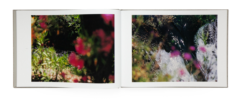 知覚の感光板 - 鈴木理策 | shashasha 写々者 - 写真集とアートブック