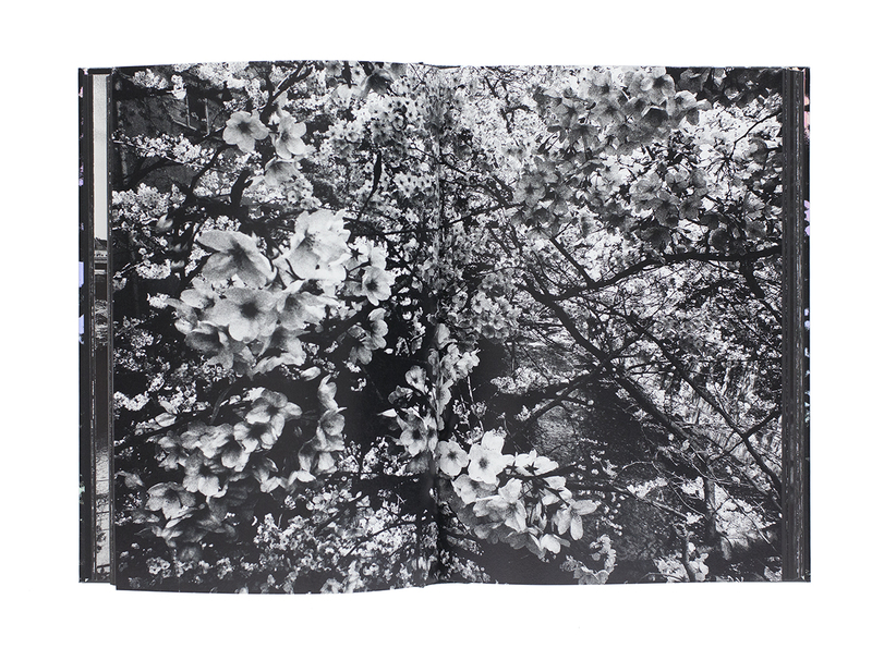 Daido Moriyama: Ango（英語版） - 森山大道 | shashasha 写々者