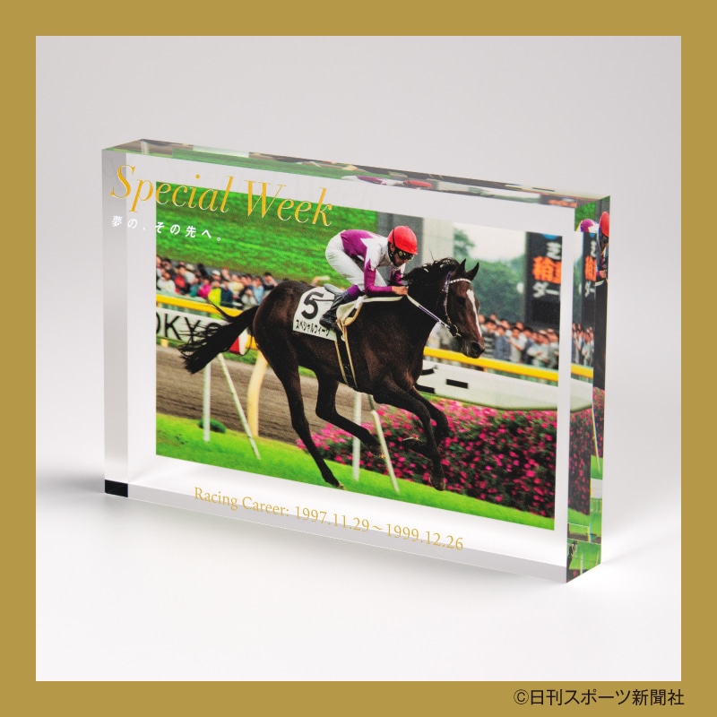 名馬コレクション 特製アクリルオブジェ（9）（イクイノックス