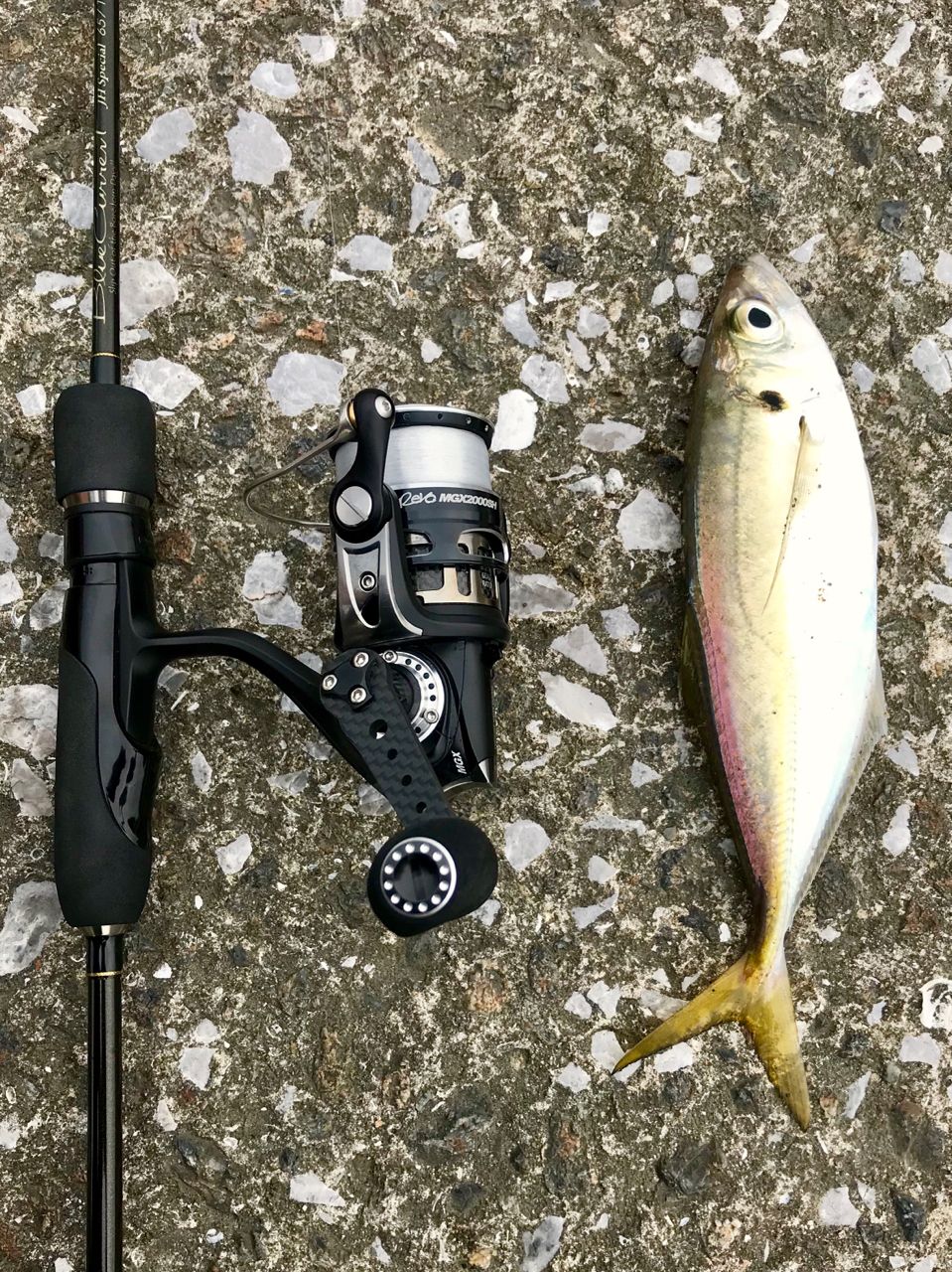 YAMAGA Blanks ブルーカレント TZ JH-Special 65/TZの最安値・インプレ