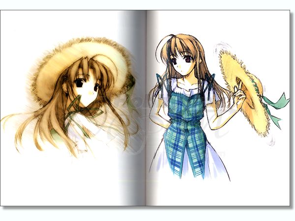 FC-G アートワークス 橋本タカシ | HLJ.co.jp