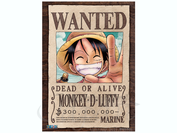 ワンピース/ 懸賞金300,000,000ベリー 500ピース | HLJ.co.jp