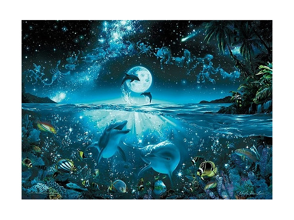 epo54702_1_1476761396.jpg?v=