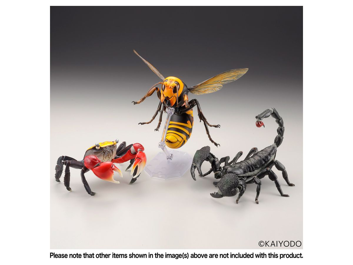 リボジオ オオスズメバチ (再販) | HLJ.co.jp