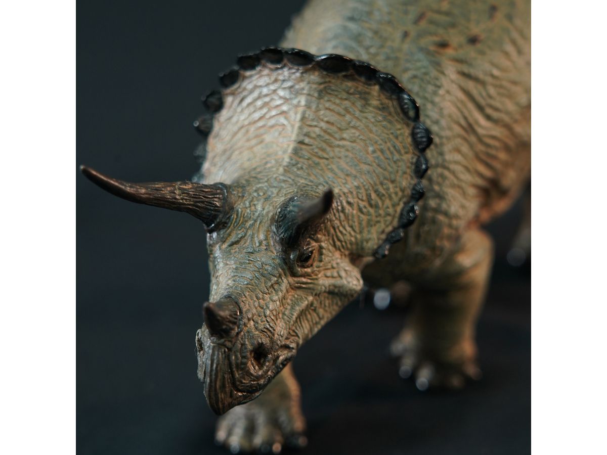 トリケラトプス ショート ソフビキット復刻版 | HLJ.co.jp