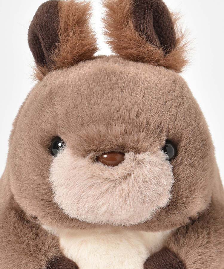 ≪OUTLET≫北のどうぶつぽちゃぬいぐるみ(キタキツネ): ALL｜Bleu