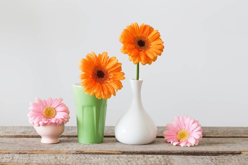 一輪挿し」でお花を楽しむ。選び方とおしゃれな陶器・ガラス花瓶特集